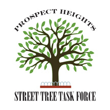 The Prospect Heights Street Tree Task Force