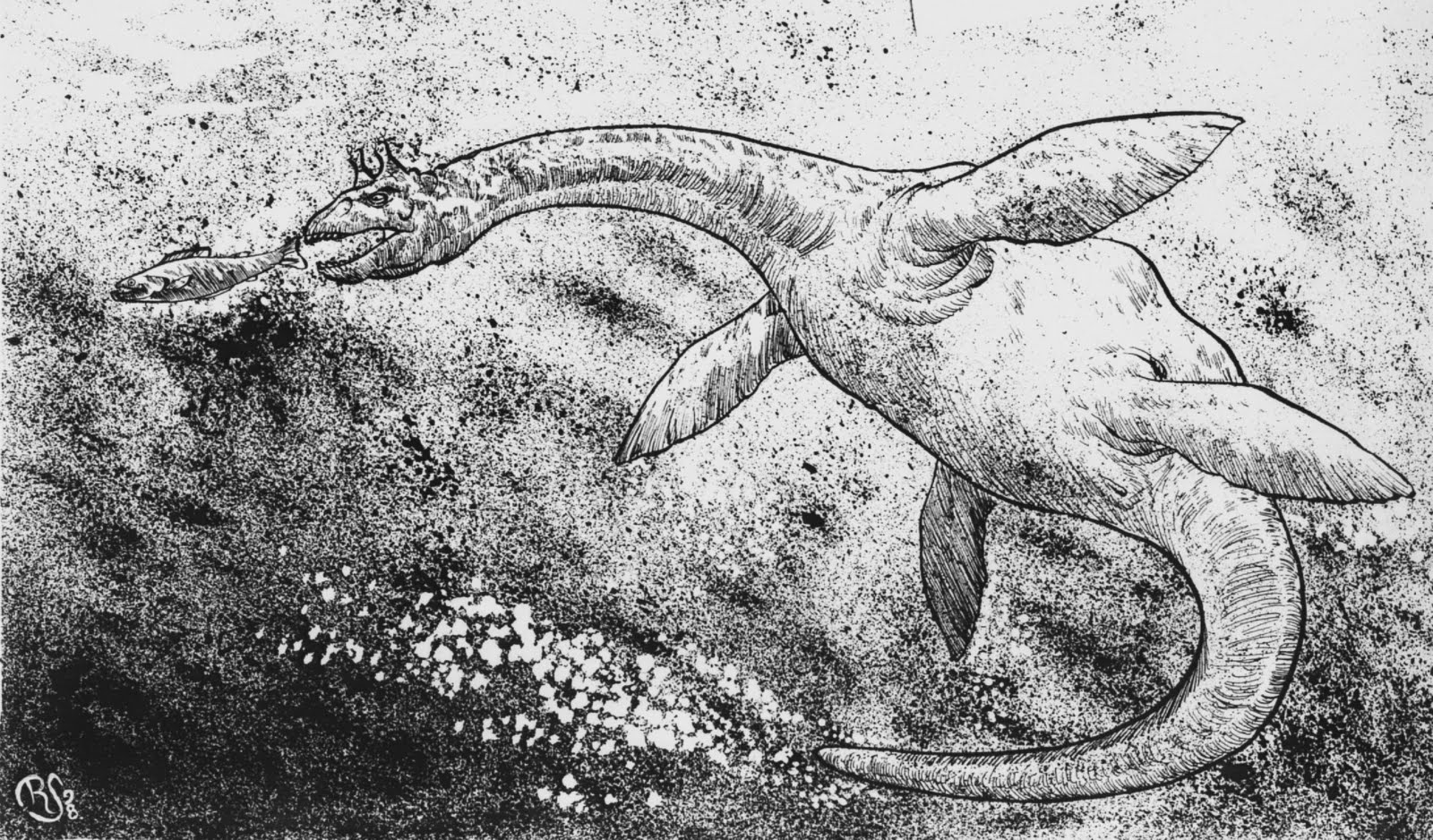Mysterious Beast Monsters - ONLINE CLASS