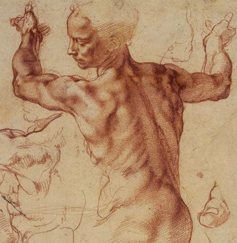 Classic Charcoal Drawing for Beginners