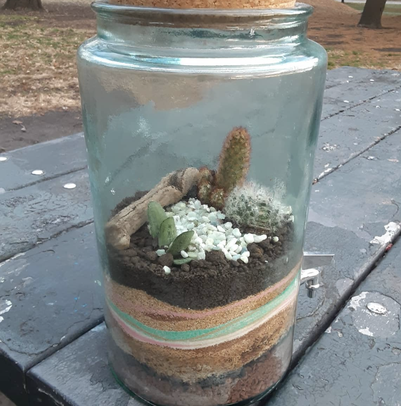 Terrariums: The Desert Landscape