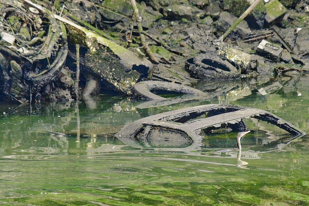 Walking Tour: The Insalubrious Valley of the Newtown Creek