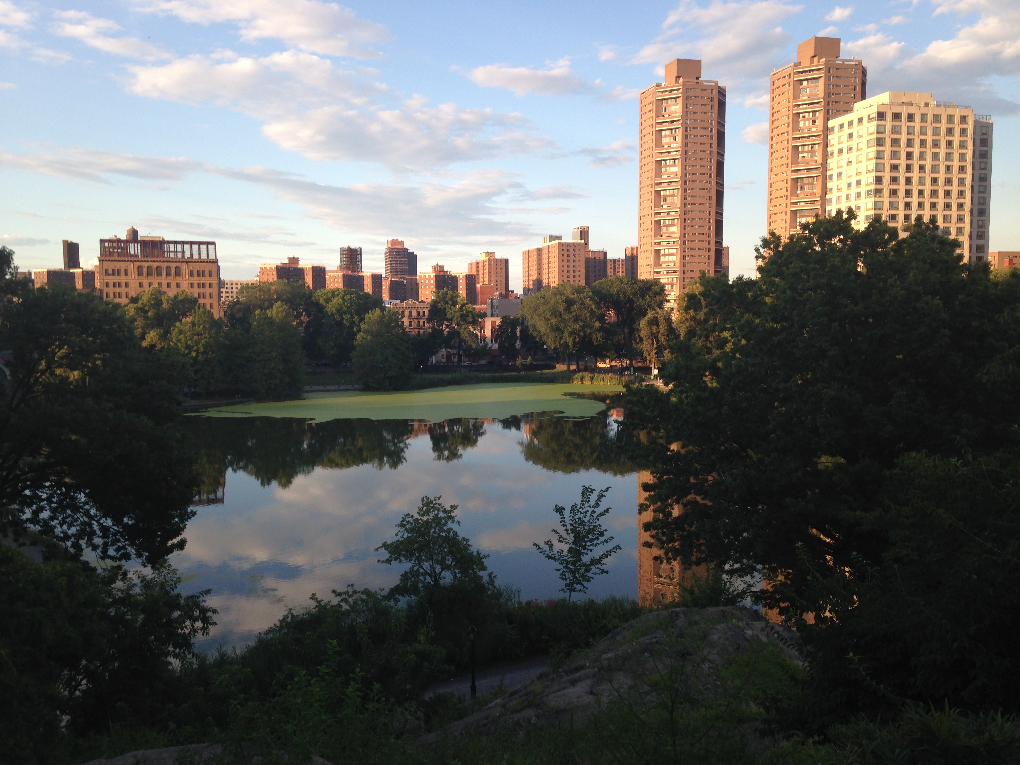 Parks, Planning, and Power