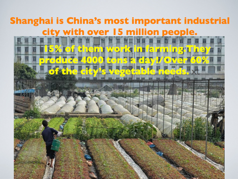 Urban Permaculture Farming Around the World: Part 2