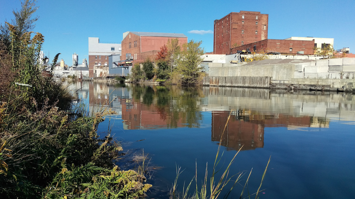Walk the Gowanus with a Local Author