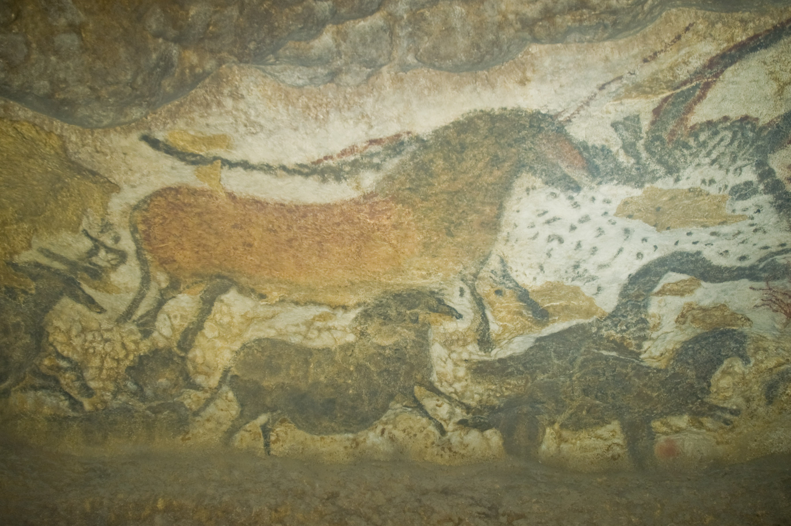 The Real History of Cave Paintings - ONLINE CLASS