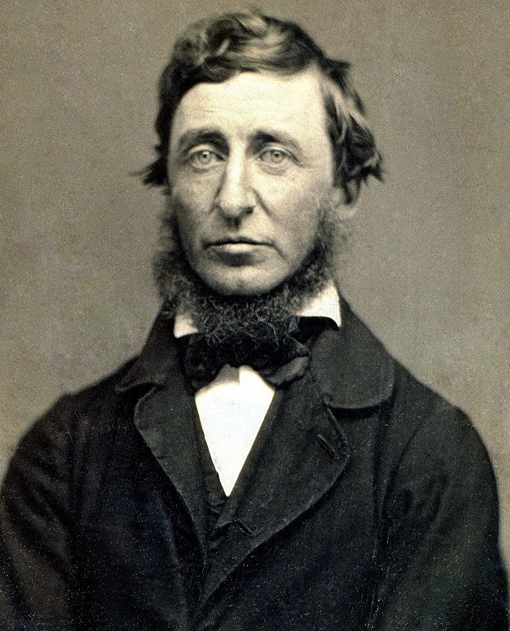 Thoreau's Wildflowers & Thoreau's Animals