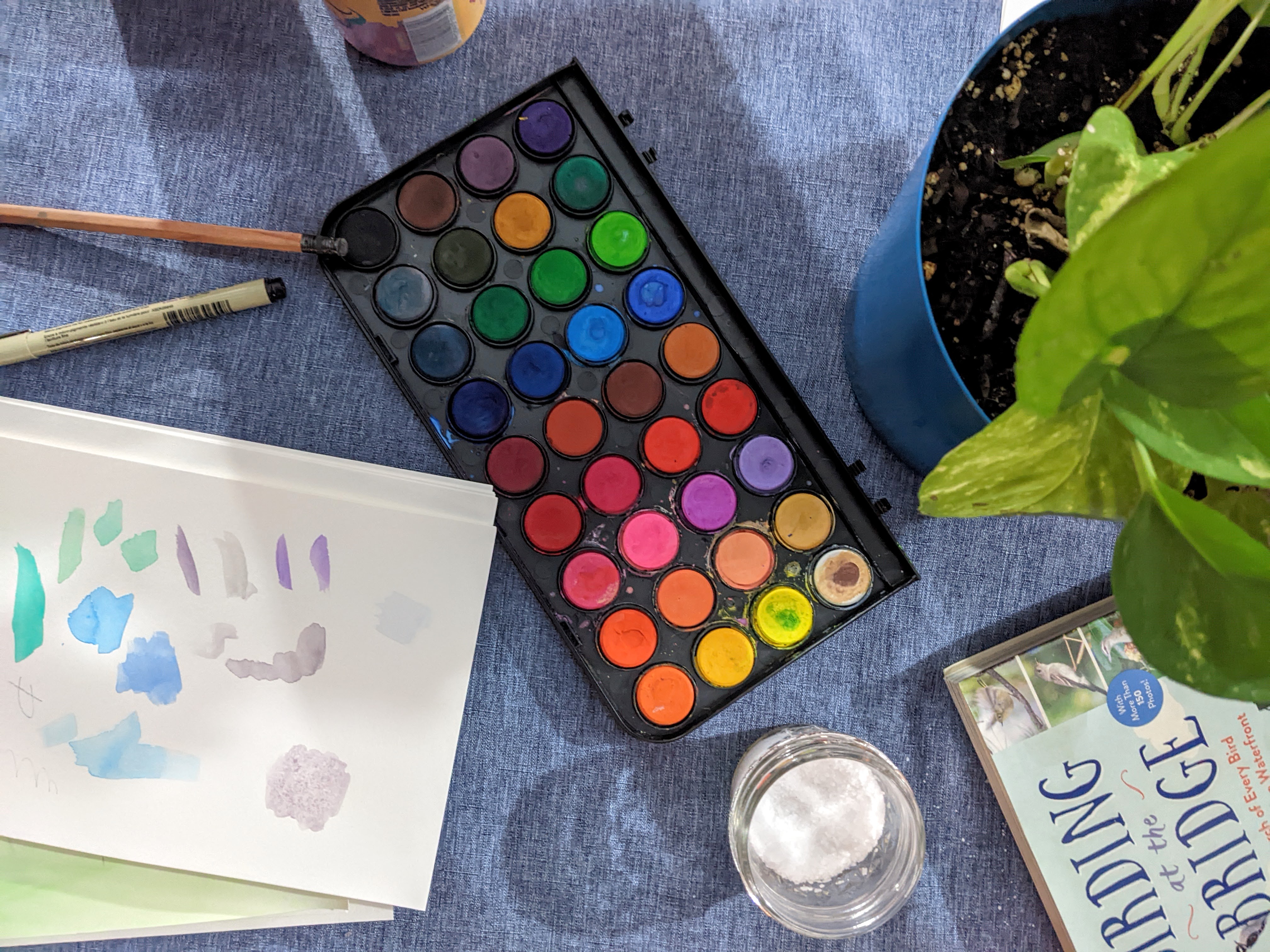 Backyard Watercolor Exploration (Outdoors)