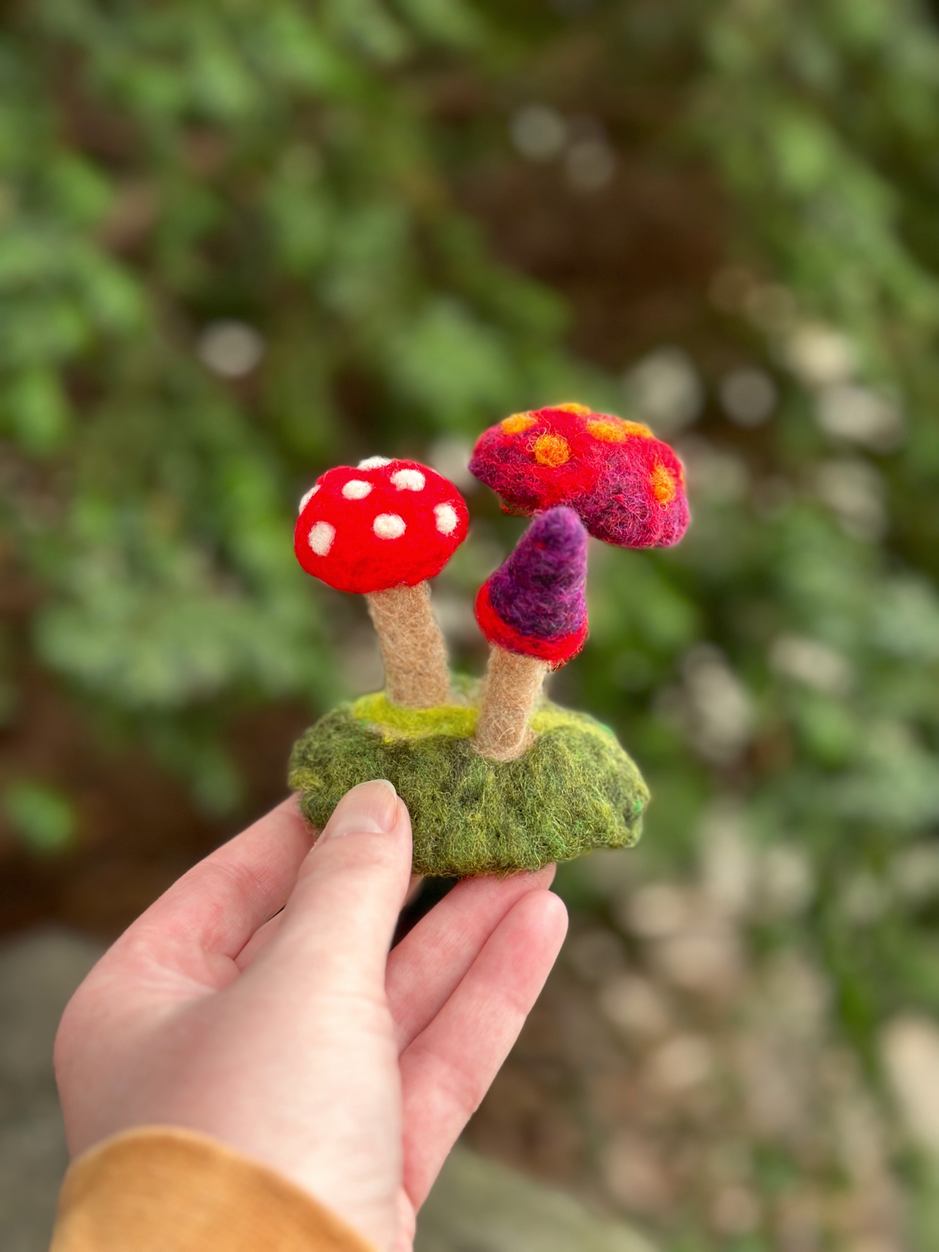 Needle Felted Mushrooms
