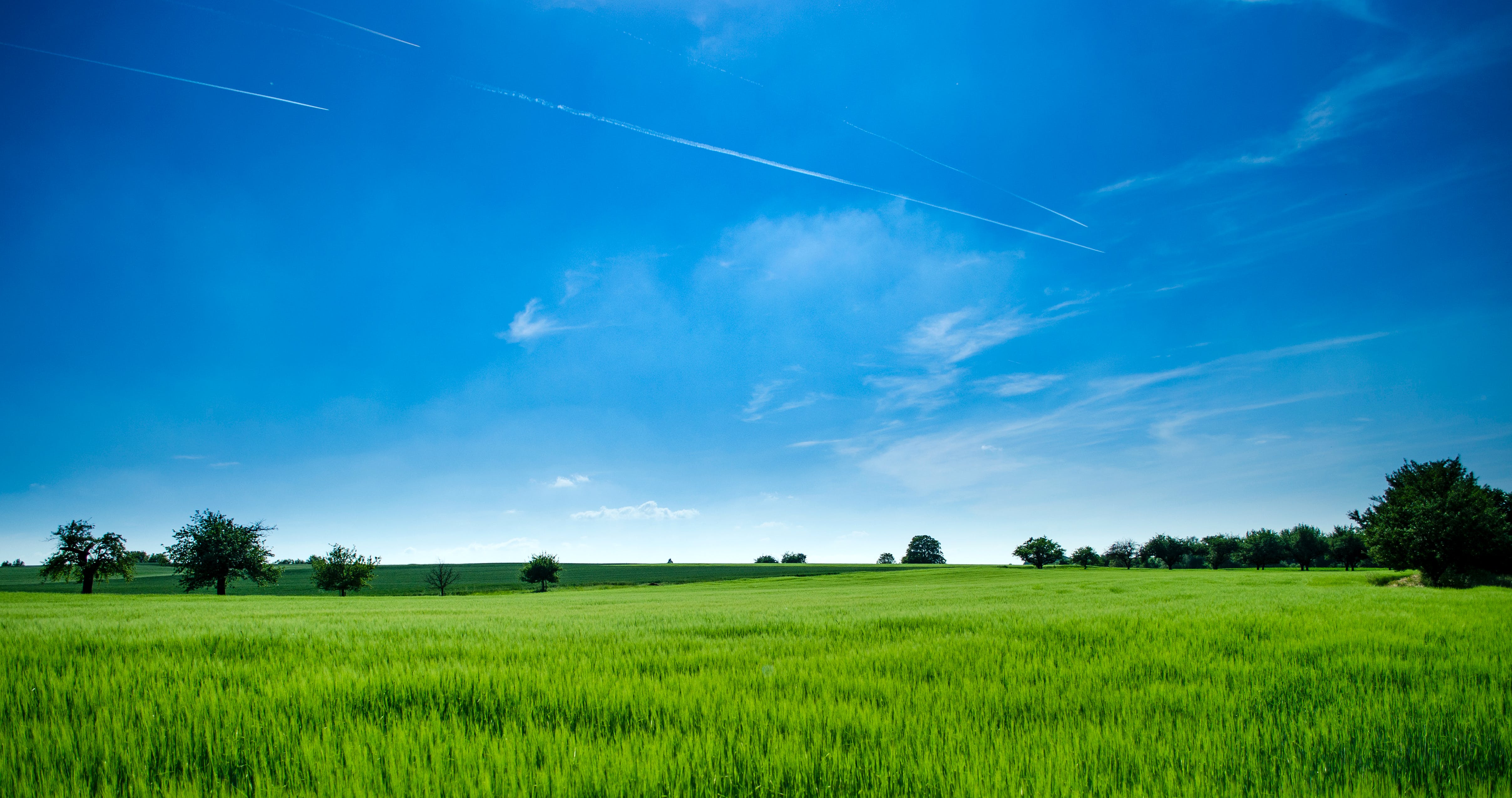 Law of Attraction 101: How to Manifest Your Dream Life (Online)