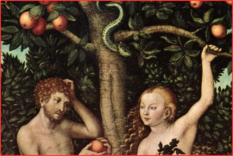 Forbidden Fruit - 1000 years of Prohibition (Online)