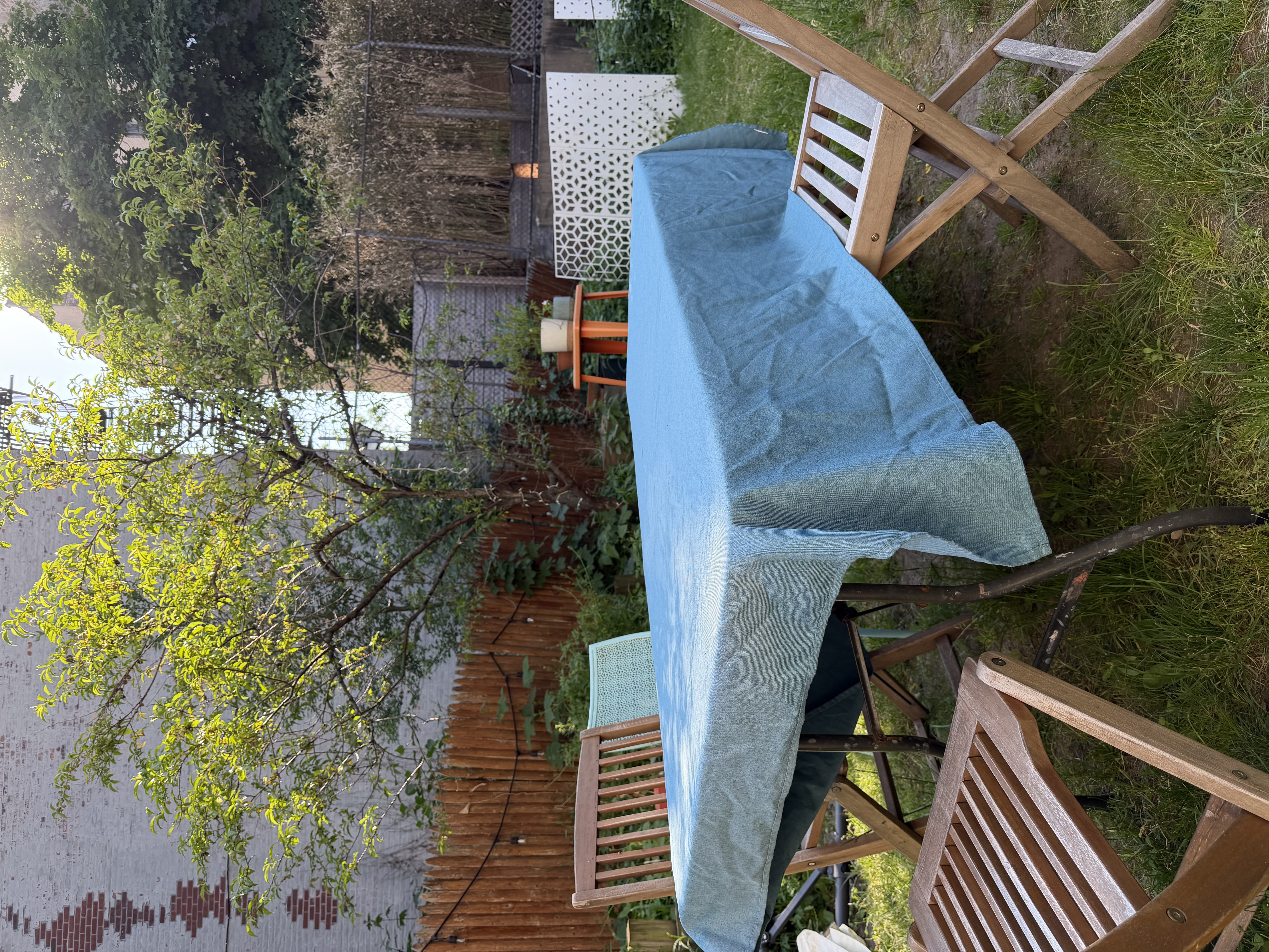 Open Craft Night in the Backyard (free)