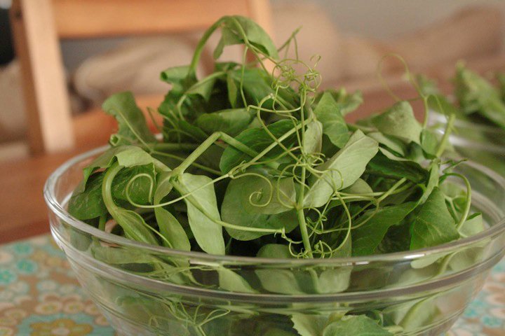 pea shoots!