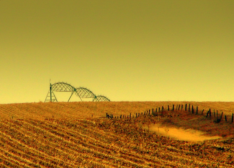 Sowing the Seeds for a Fair Farm Bill