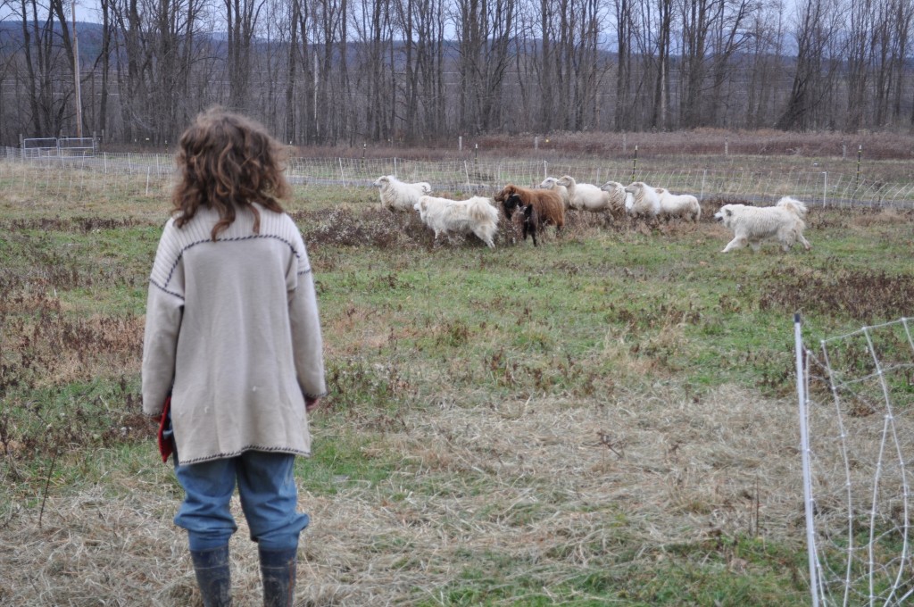The Many Faces of the American Farm Woman