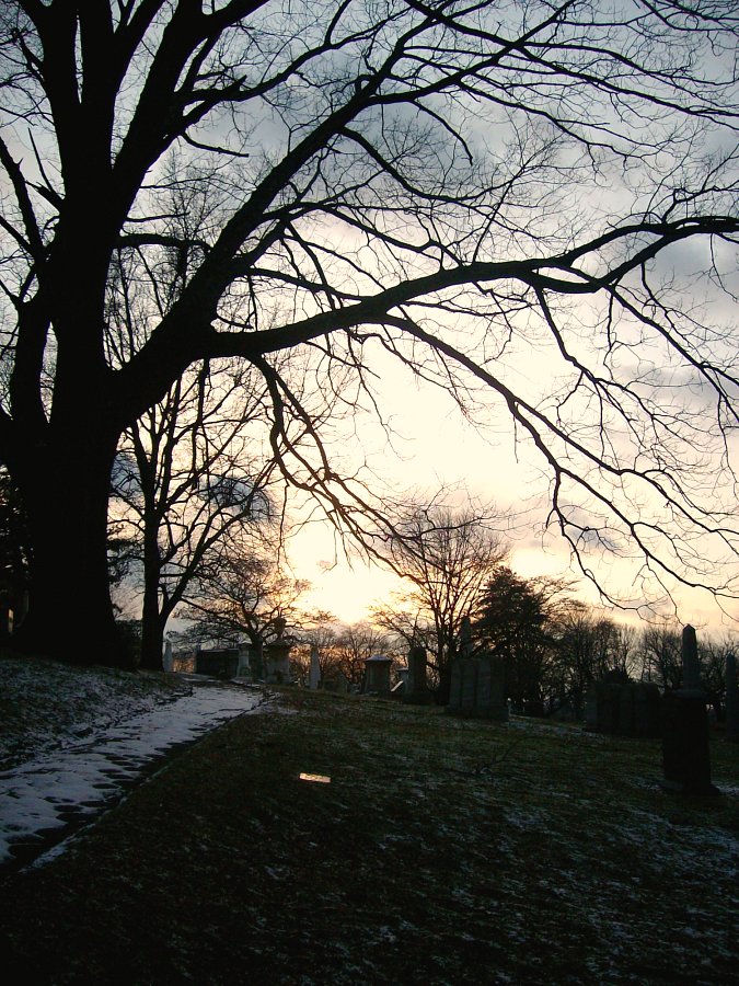 New York City Cemetery Wrap Up: Part Three