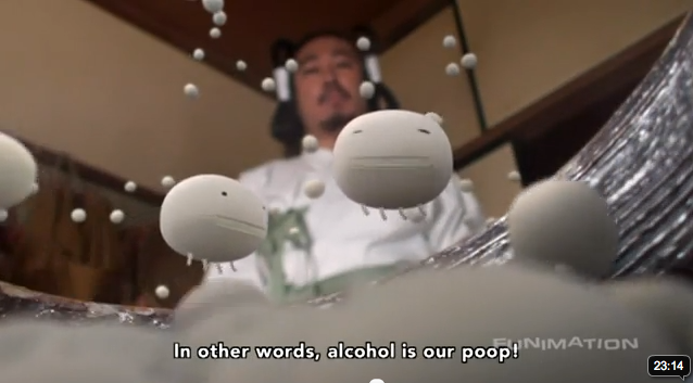 Alcohol is yeast poop, a digital S. cerevisiae told me so