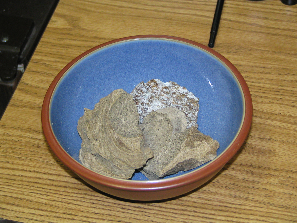 The only photo of Ambergris on the internet