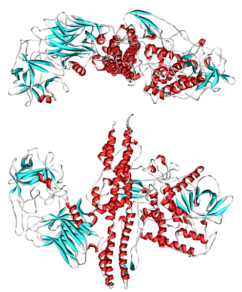 The botulinum toxin, watch out.