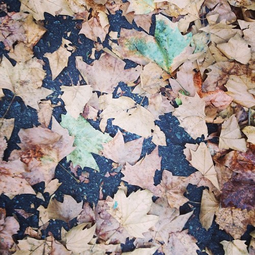 it's fall.