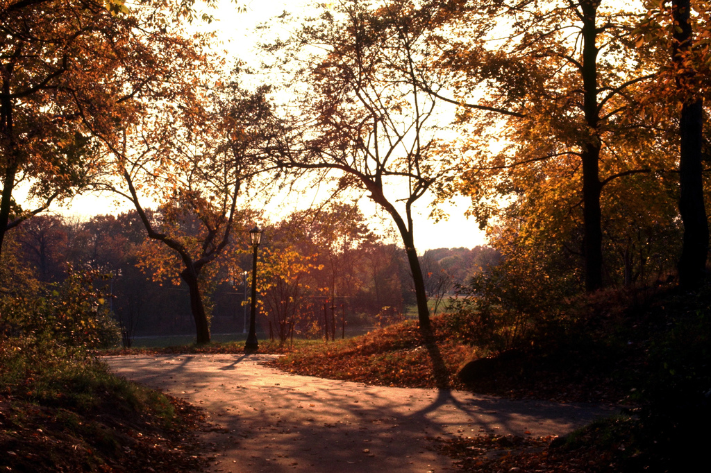 Prospect Park: Did you know...