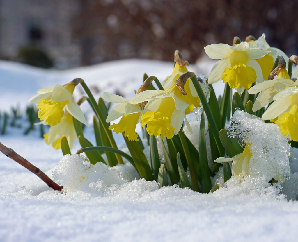 Brainery-Recommended March Events