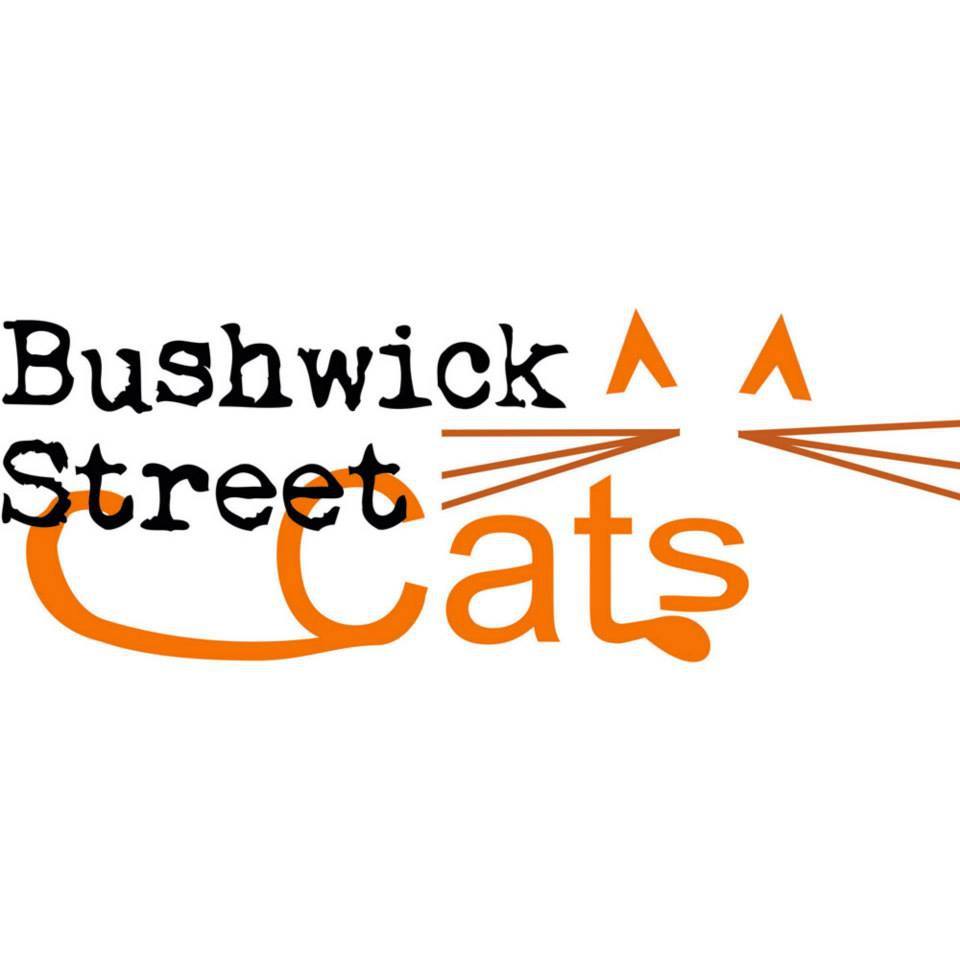 September Nonprofit Spotlight: Bushwick Street Cats