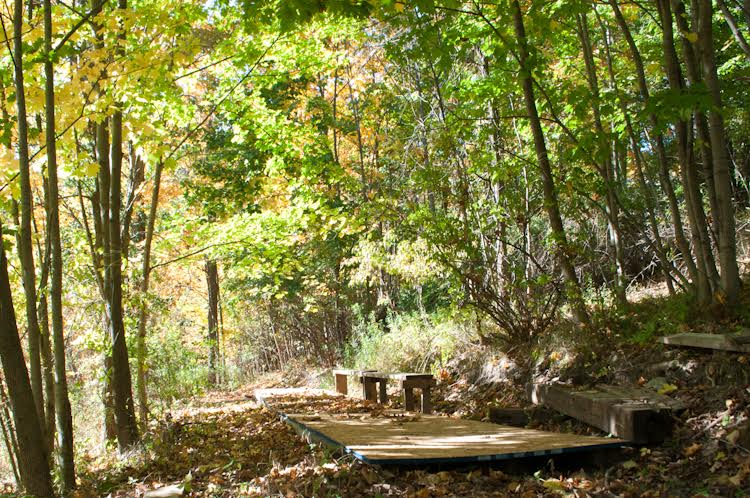Drawing + Mindfulness Retreat
