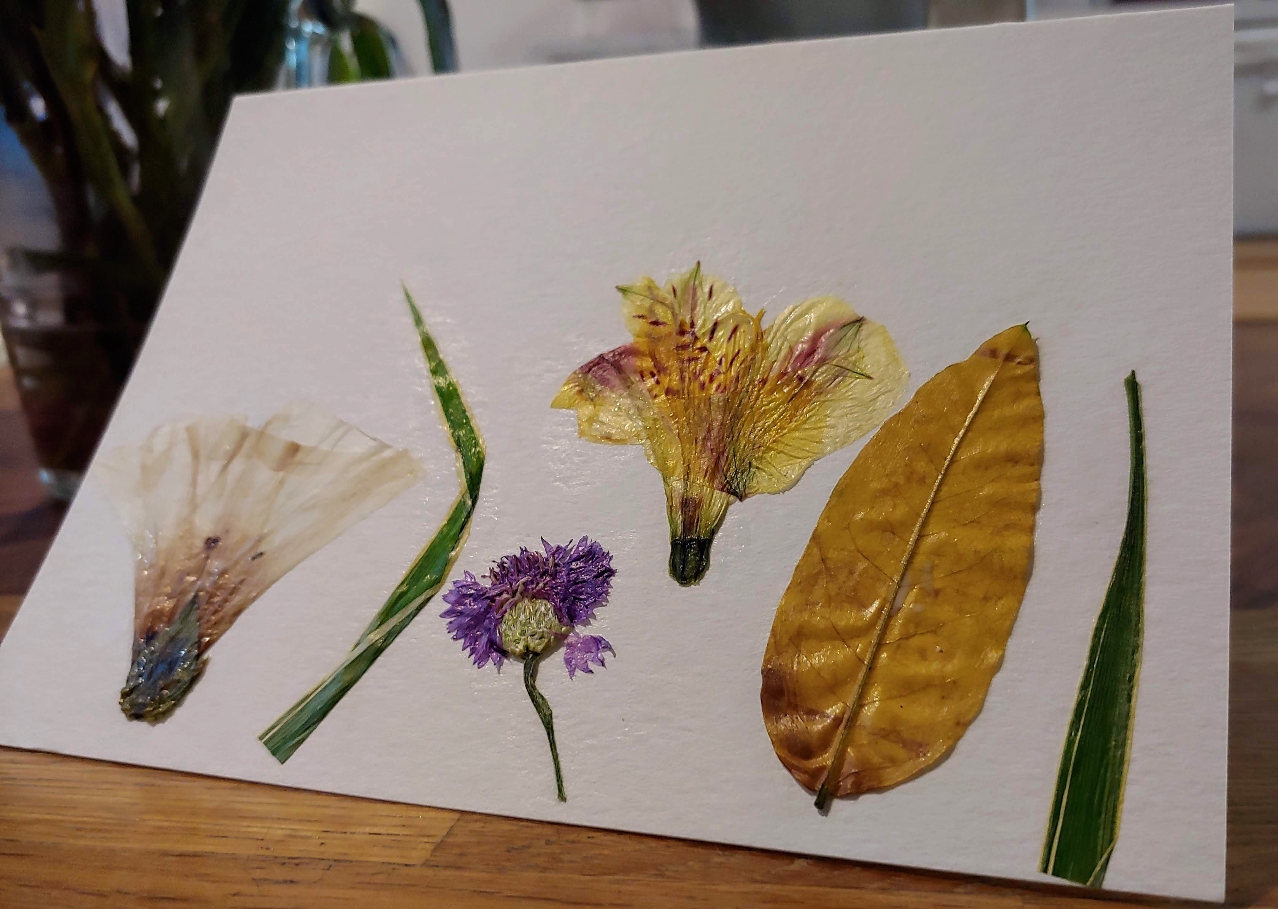 Make A Pressed Flower Greeting Card