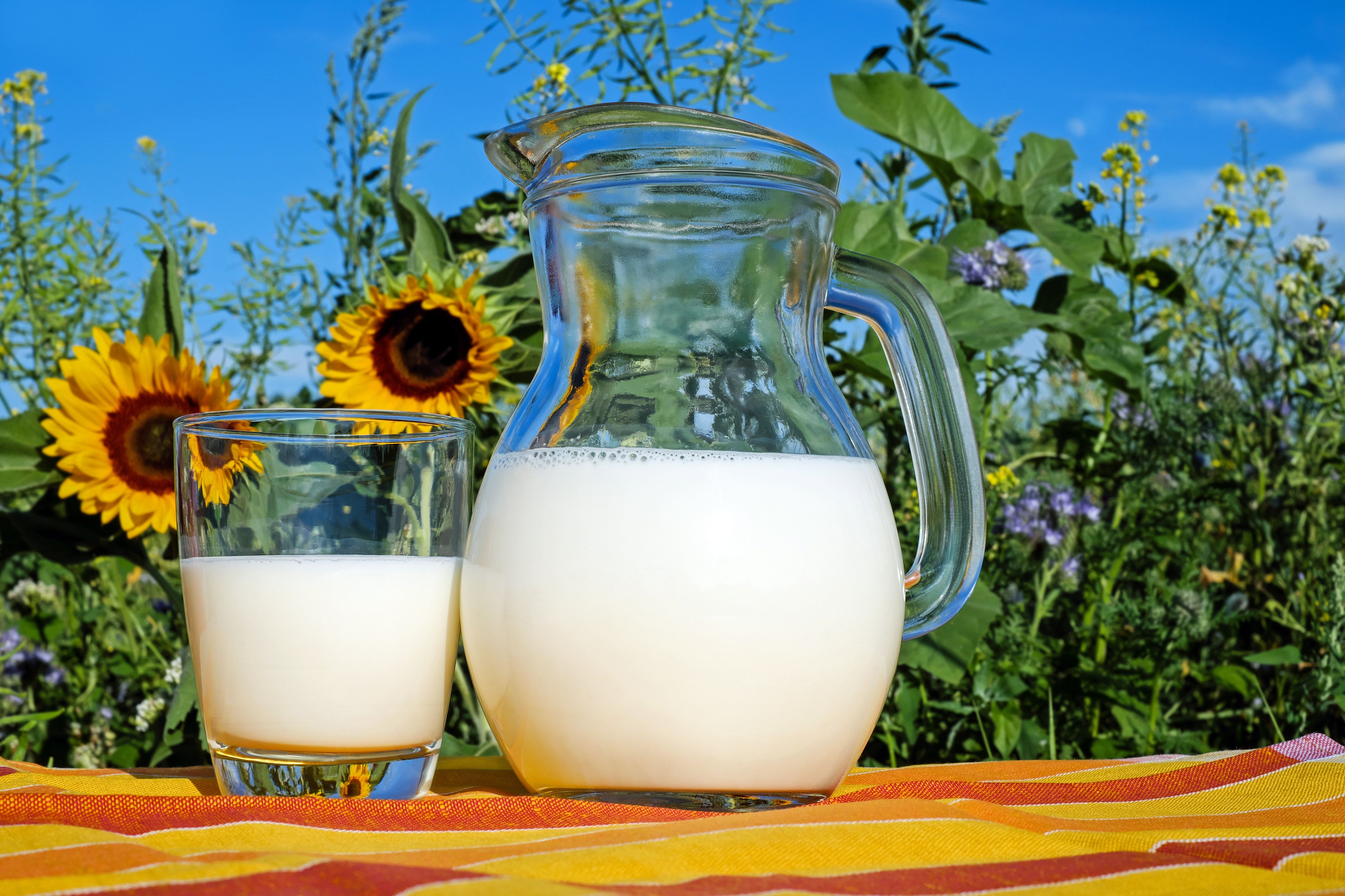 Can you MILK it? The Science and History of PLANT MILKS on Sept 30